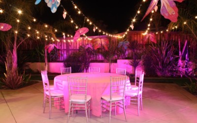 Need Ideas for Your Luau Party?